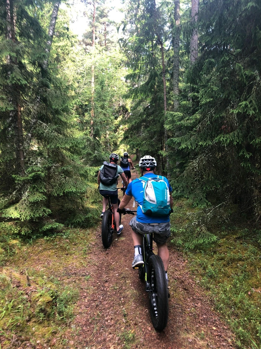 adventures cycling fatbike estonia nature outdoor