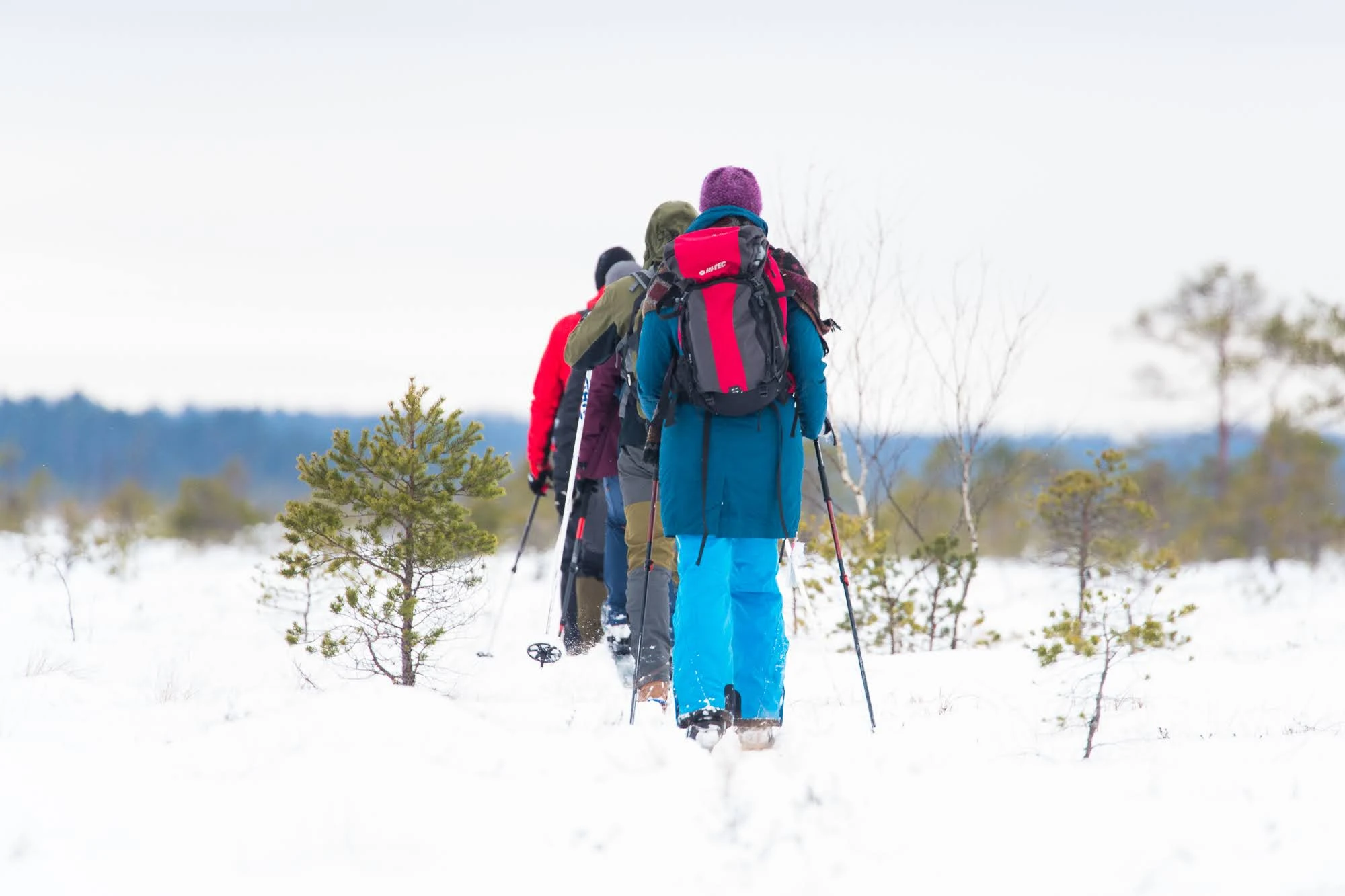 seakajaking estonia Soomaa bog hike outdoors