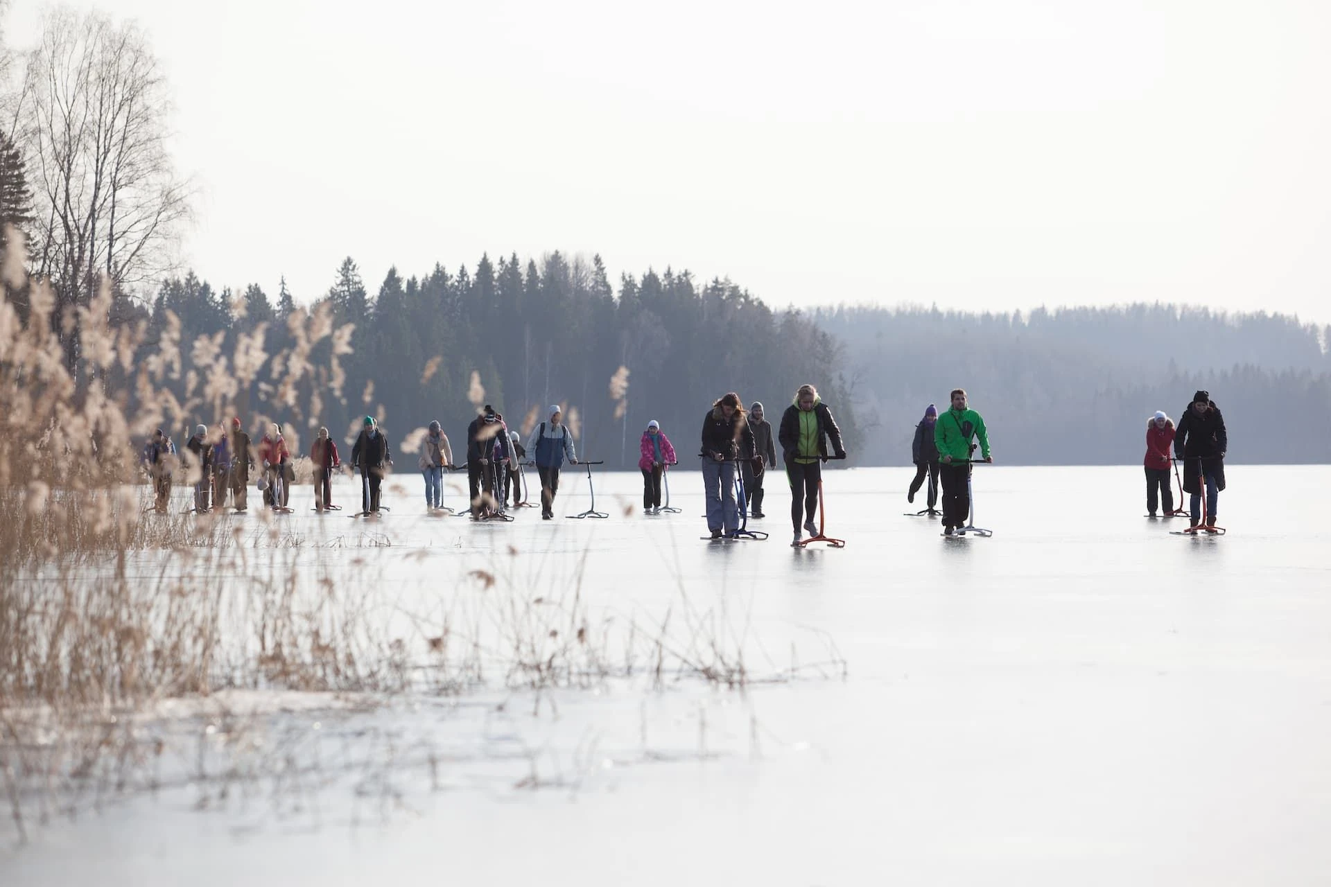 kicksledge snow outdoor active loodusturism ee estonia kalmer lehepuu