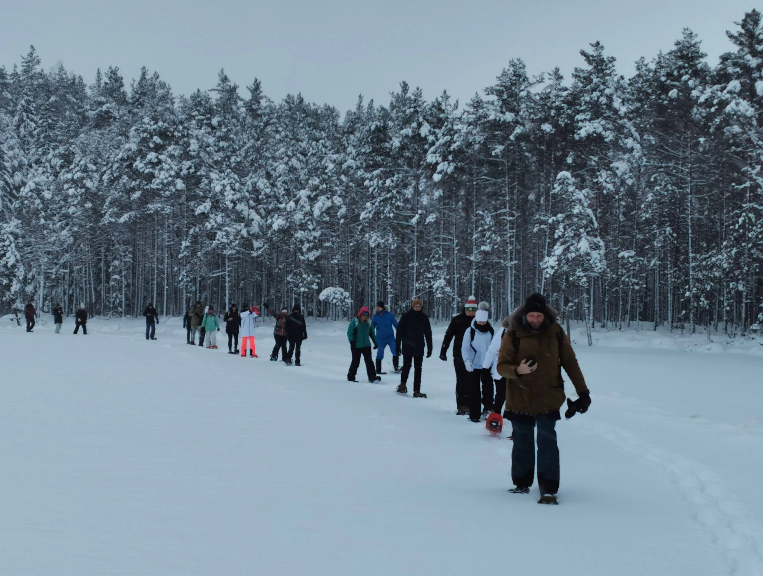 Hermanevents bog nature korvemaa nature estonia