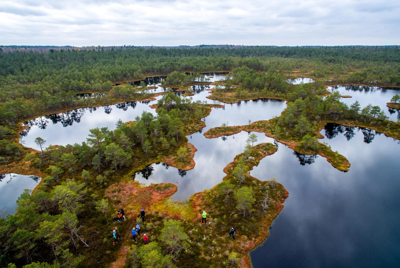 Villa pillapalu bog hike outdoors nature team