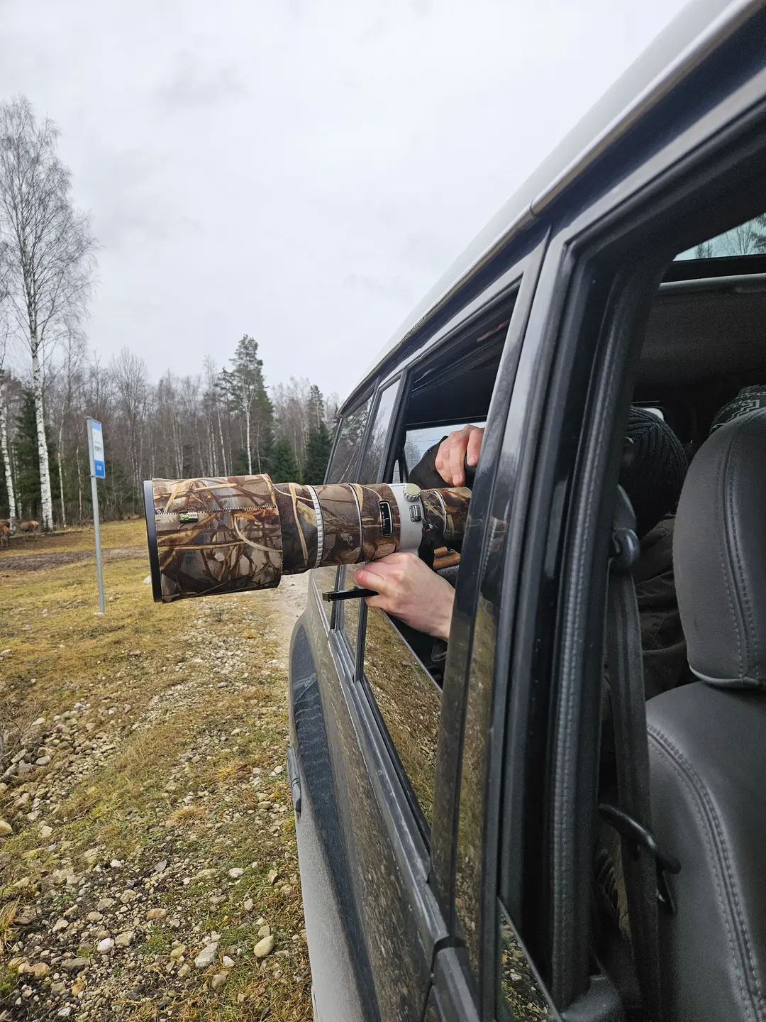 Wildlife watching by own car Toosikannu Nature Resort Anneli Vahtra  1