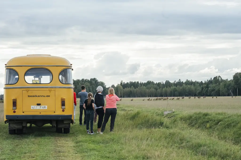 Wildlife Watching Safari Toosikannu Ulukisafari estonia nature
