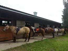 Maria farm horse hikes