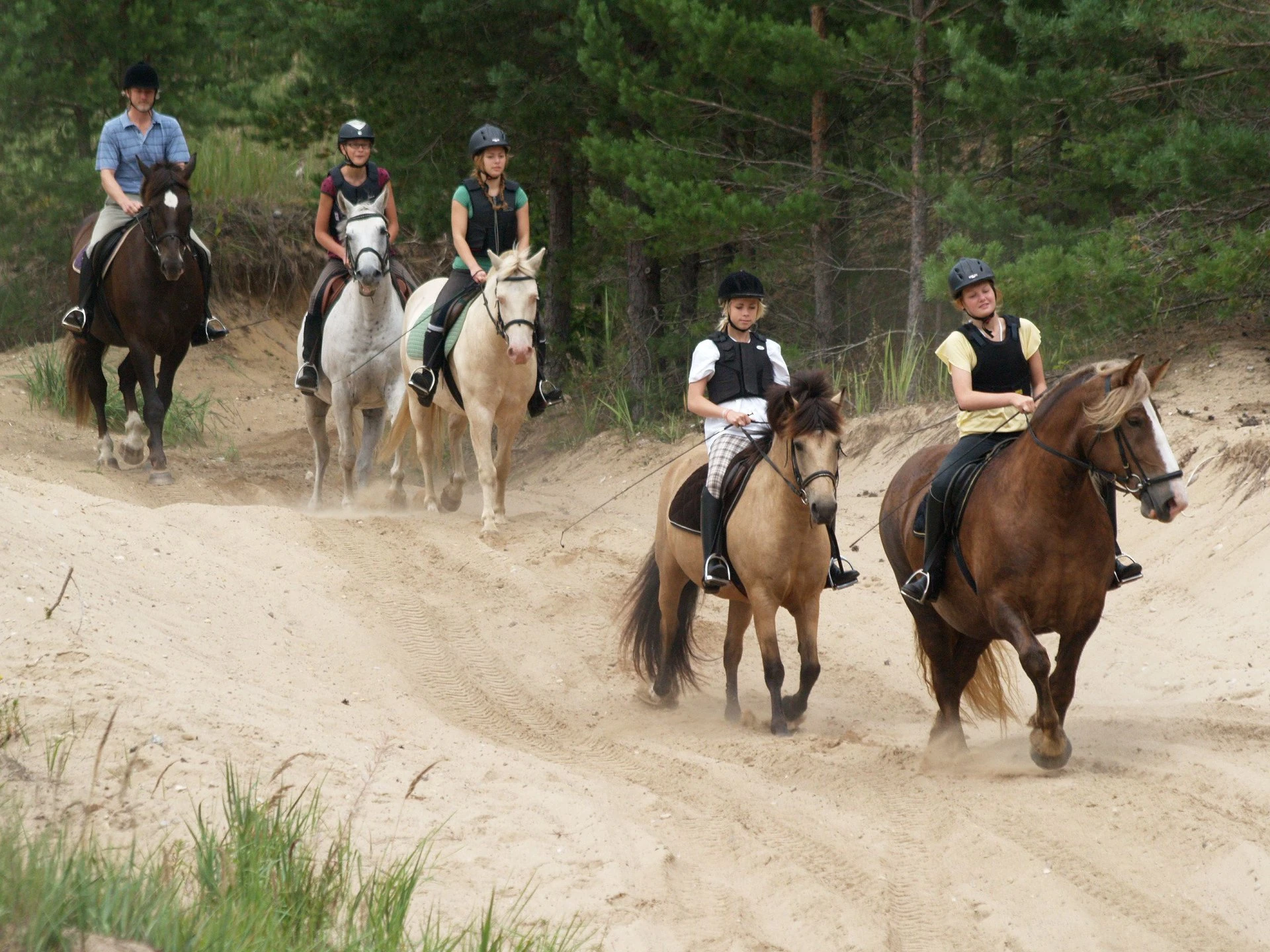 Maria farm horse hikes estonia nature