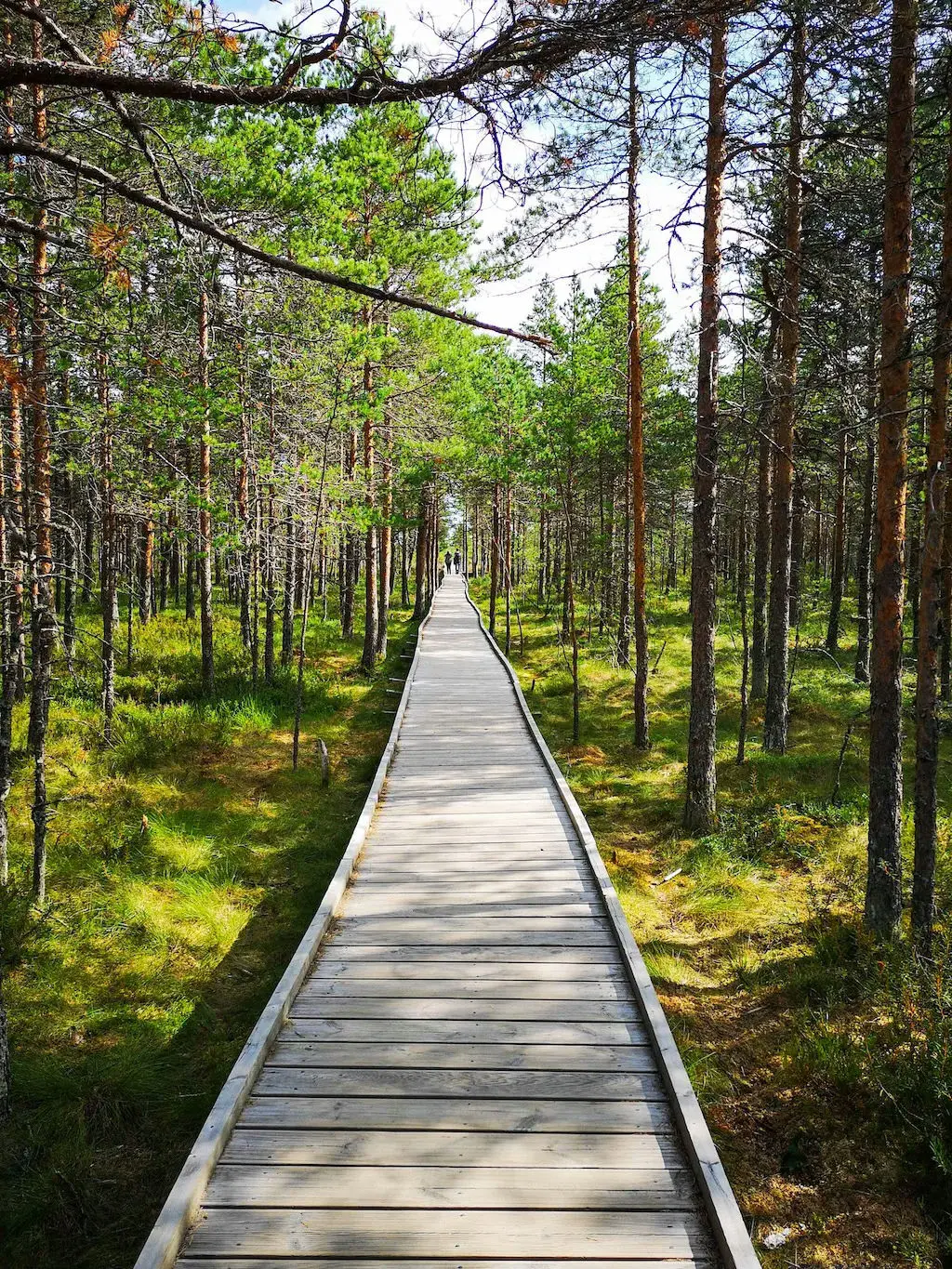 Prangli travel lahemaa jagala waterfall estonia j leppmets2