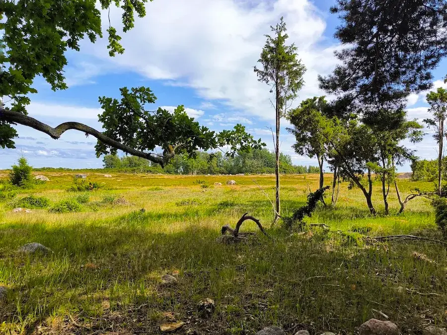 Aksi Estonia sailing prangli travel nature