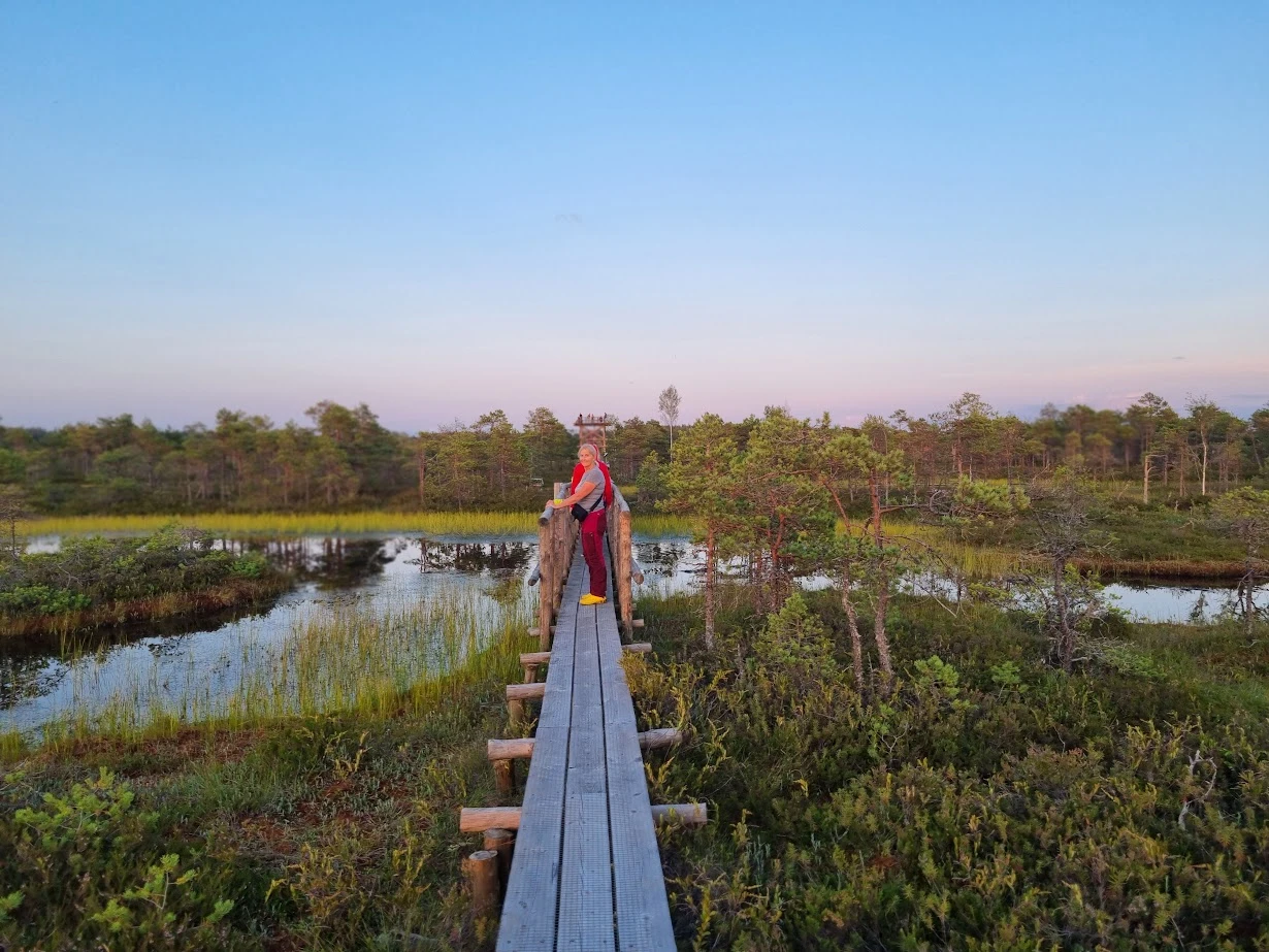 N35 hike bog outdoors estonia