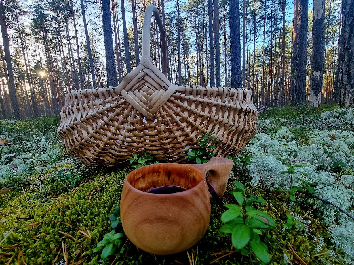 n35 hiking forest
