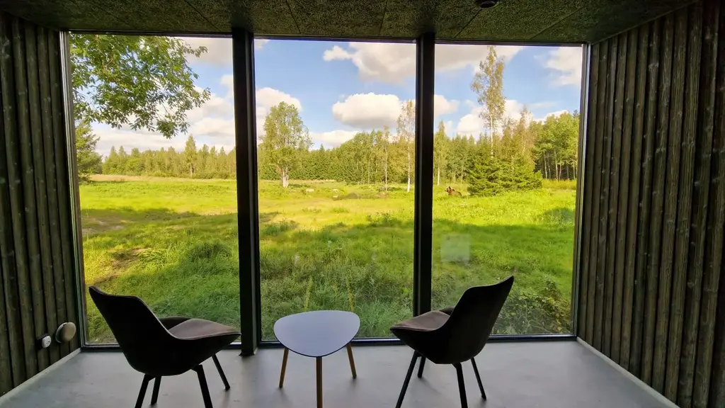 natourest photography hide bear luxury individual1