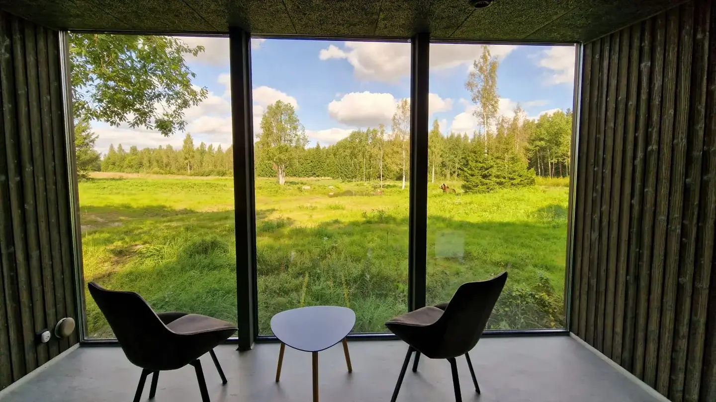 natourest photography hide bear luxury individual1