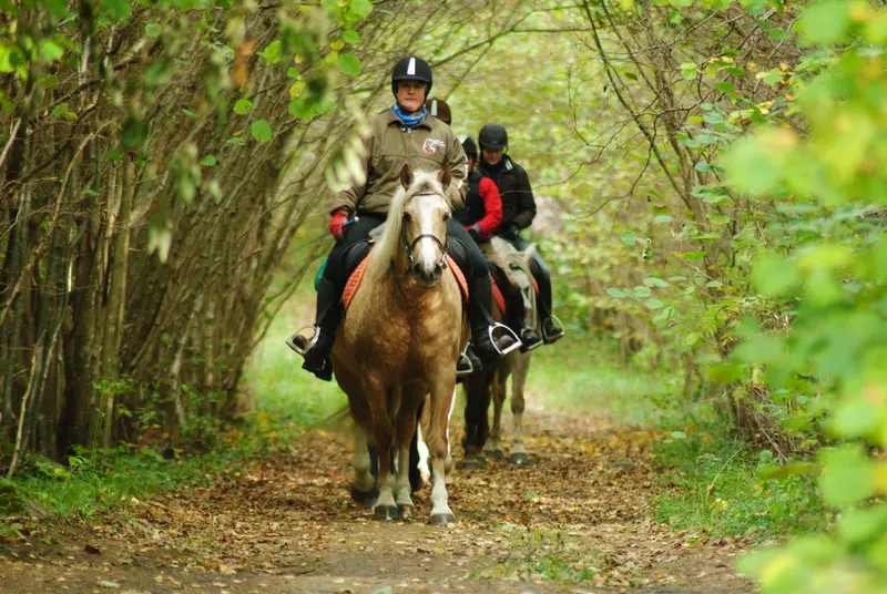 Pädaste horse riding nature muhu