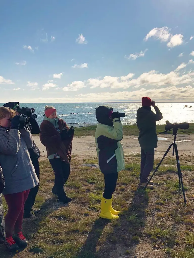 altmõisa matsalu birdwatching nature park