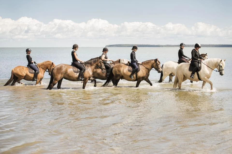 Tihuse muhu horse riding hikes estonia
