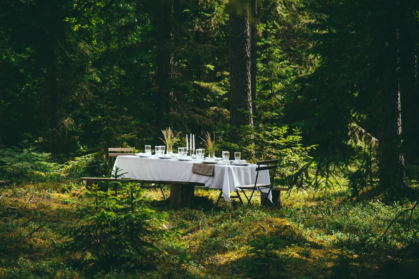 gajedis forest dining