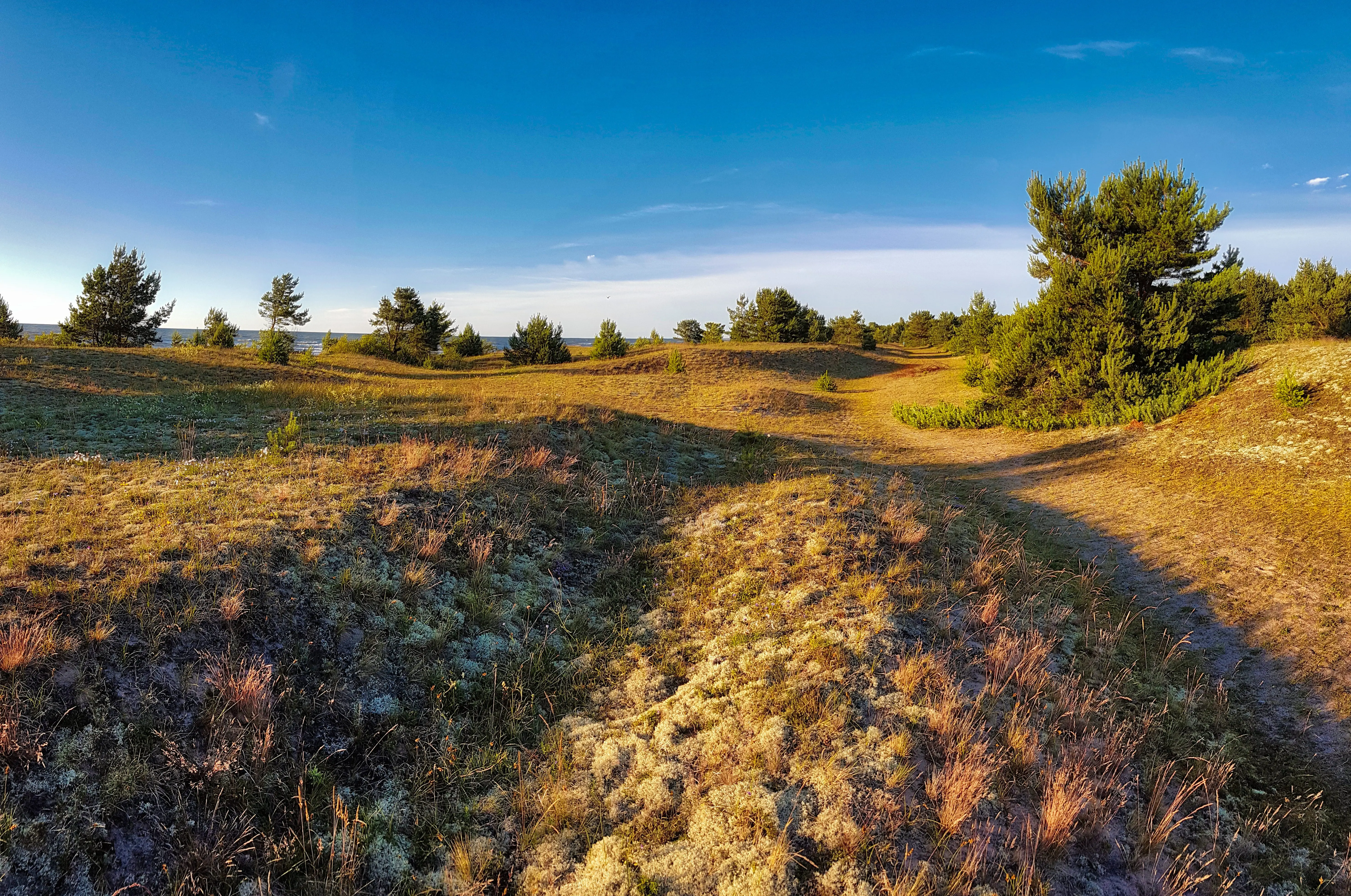 Baltic Coastal Hiking photo by Rolands Ratfelders 24