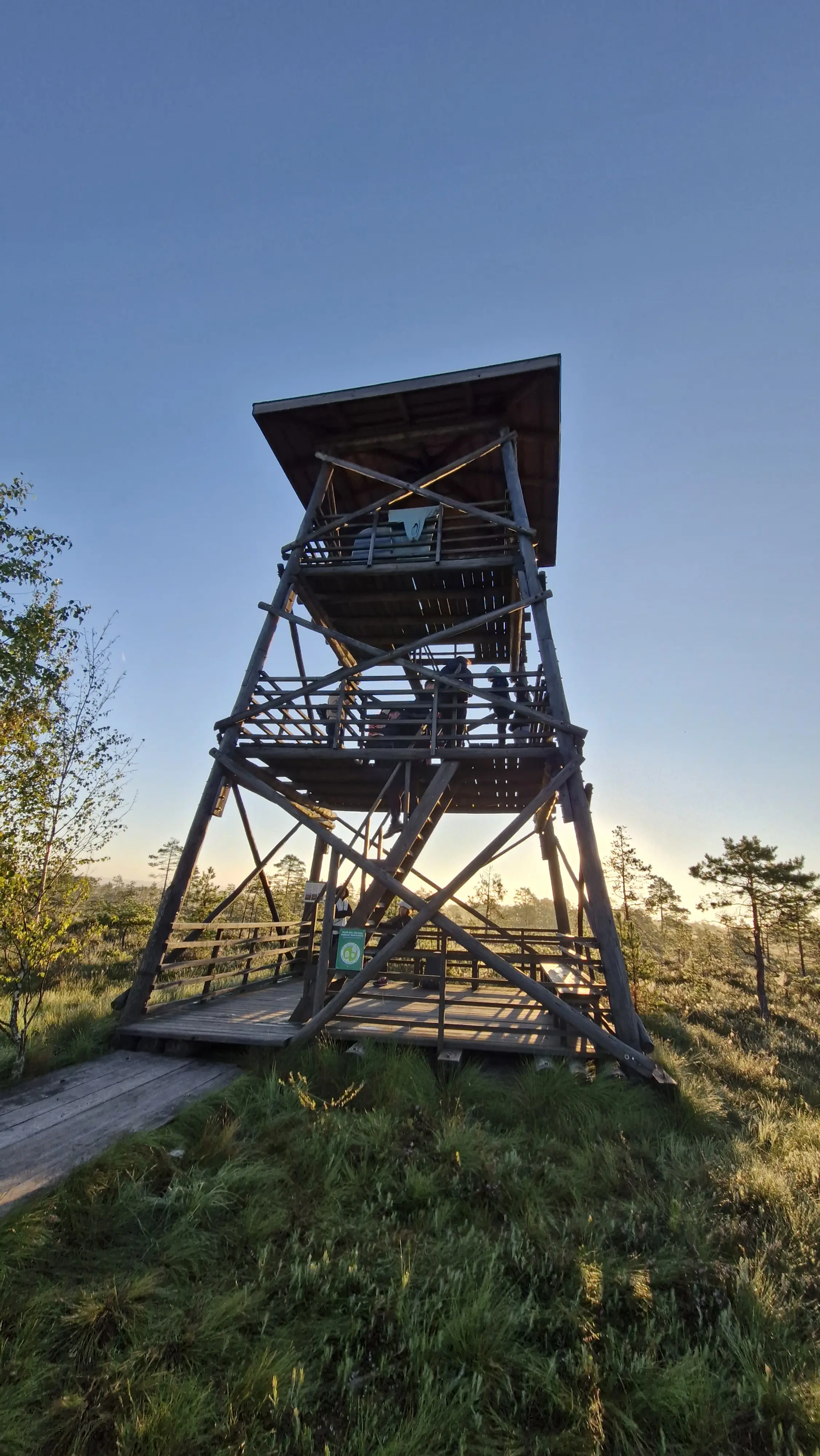 White Nights Bog Adventure