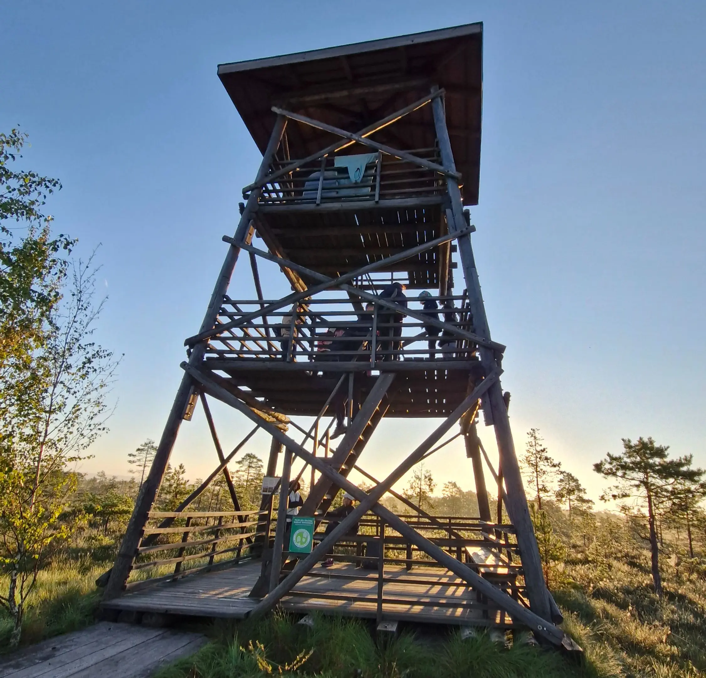 Estonian 3 day Wilderness Hiking Retreat Bog Forest Hiking Camp