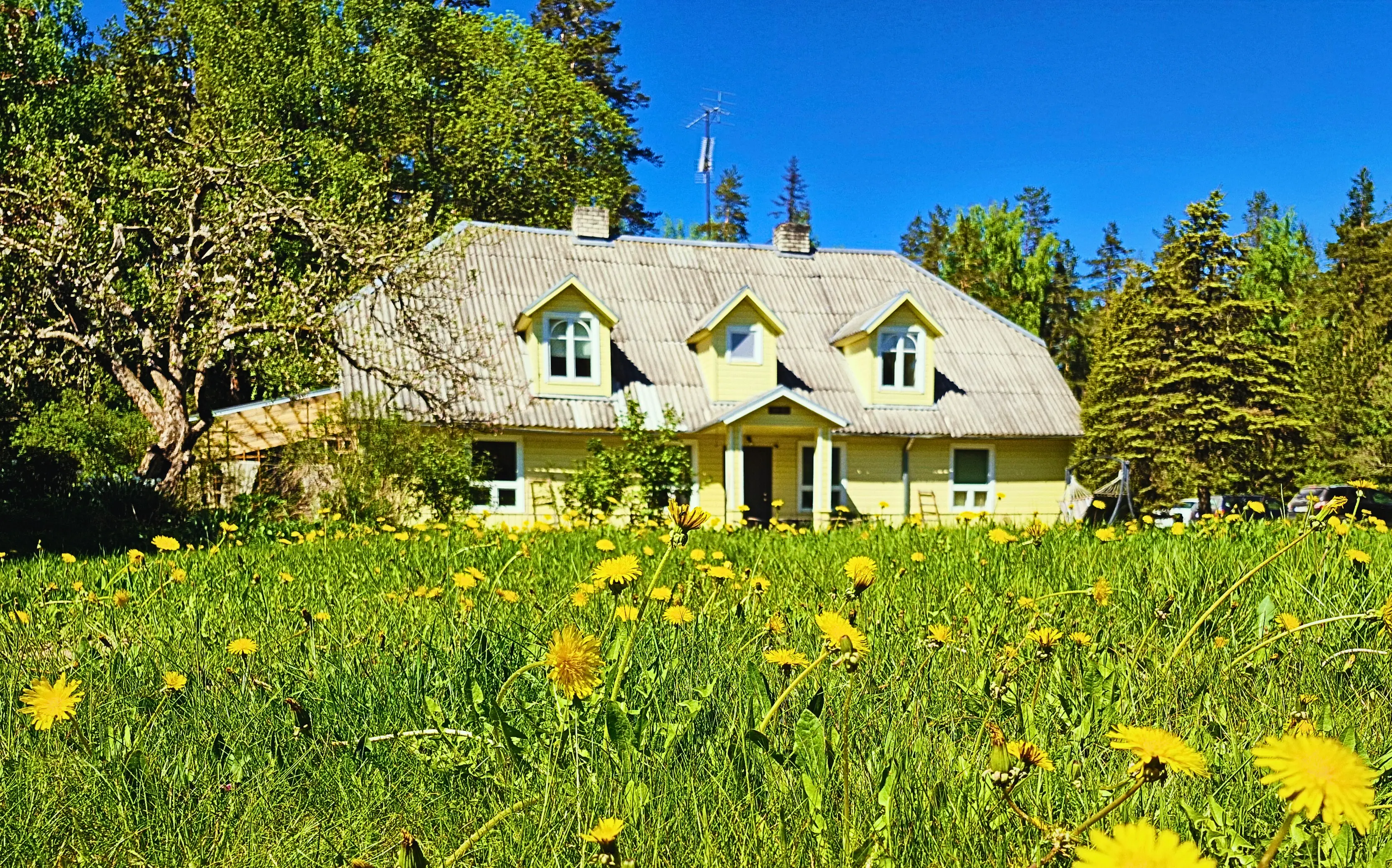 UuejärveMatkapesa visitkorvemaa ee visitestonia