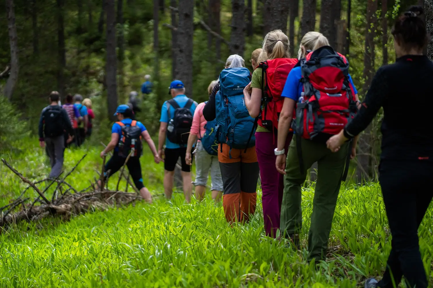 Estonian 3 day Wilderness Hiking Retreat  Bog   Forest Hiking Camp
